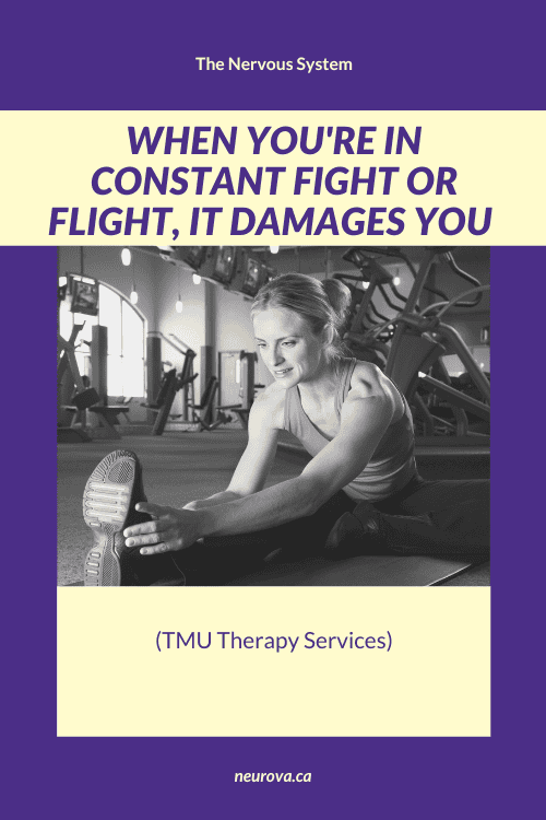fight or flight stress on body, neurova therapy toronto